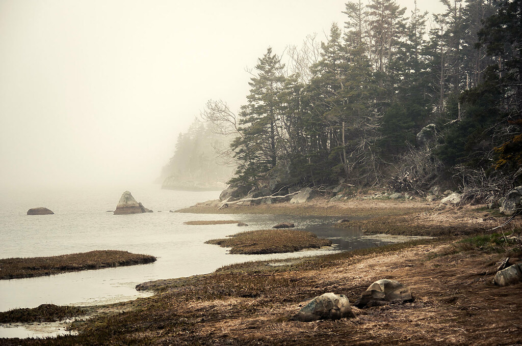 The Salt Marsh Trail Cole Harbour, Nova Scotia, Canada joeric Flickr