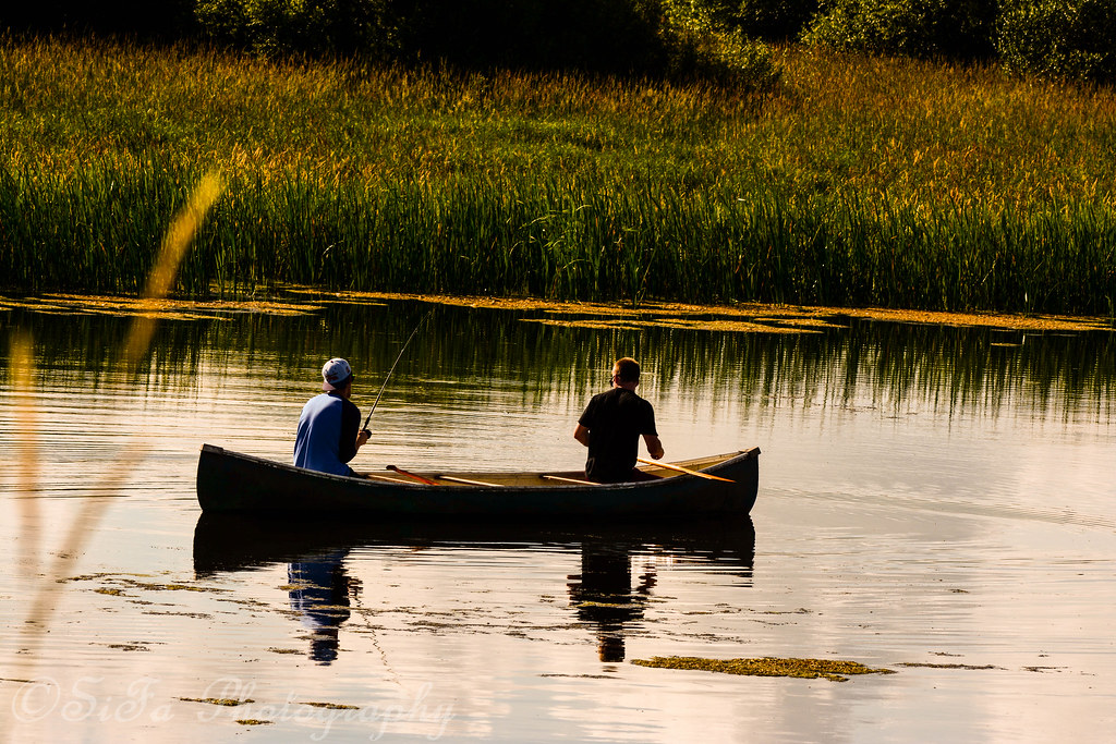 DSC_0094 | 0, 0 255, 255 0, 0 255, 255 0, 0 255, 255 0, 0 25… | Flickr