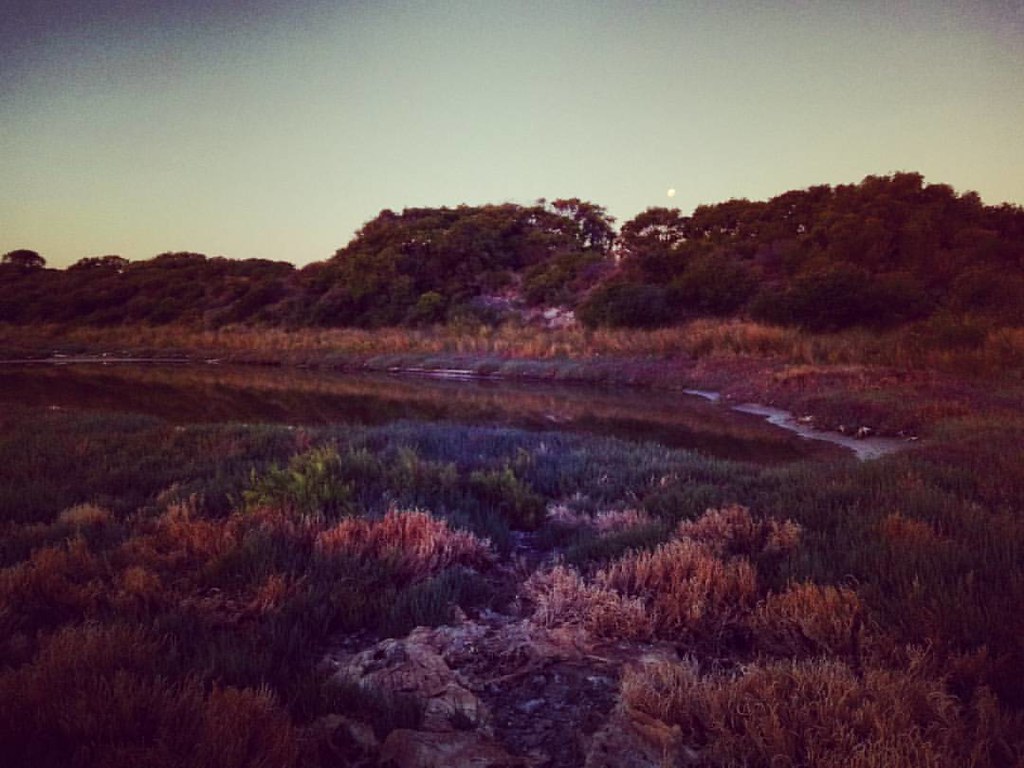 "Nature is painting for us, day after day, pictures of inf… Flickr