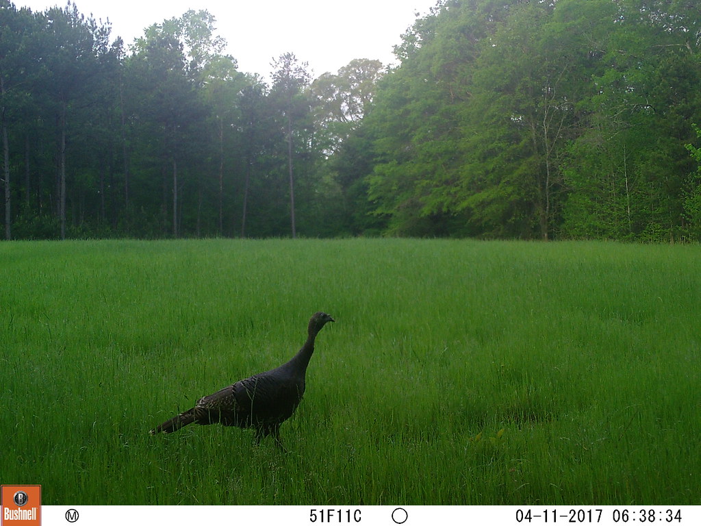 04110748 M2E51L146146R399B379 Harper Farms Flickr