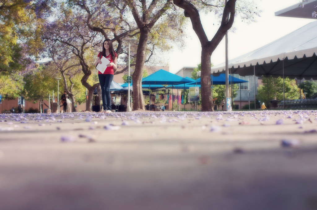 Well, I've been afraid of changing Cause I've built my lif… Flickr