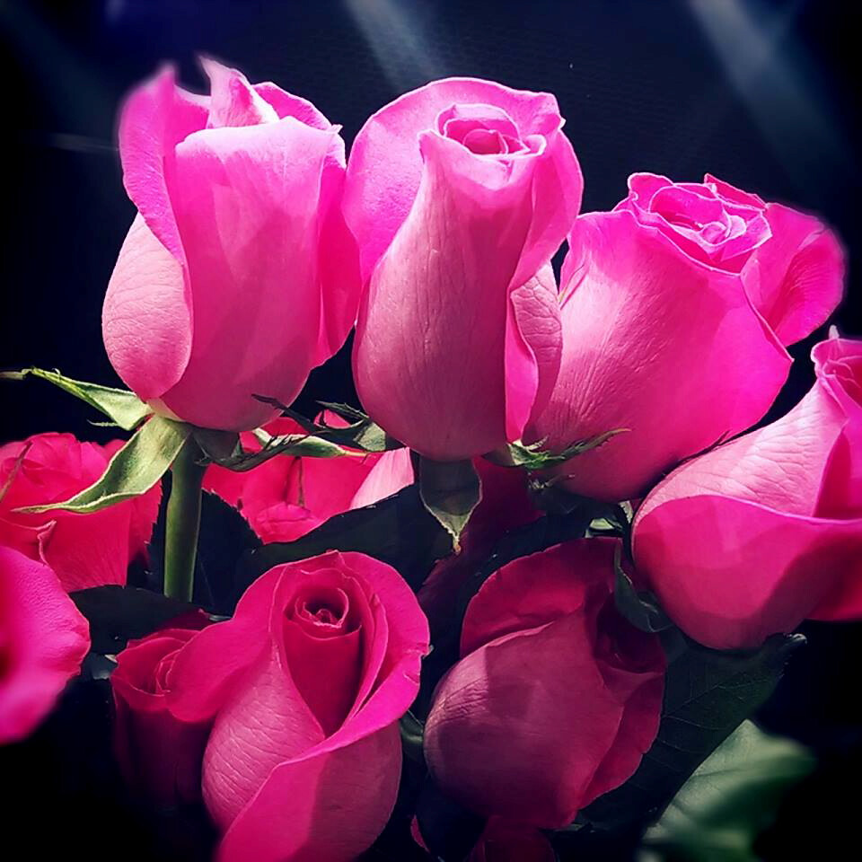 hyvee6 flowers at HyVee in Springfield Jo Naylor Flickr