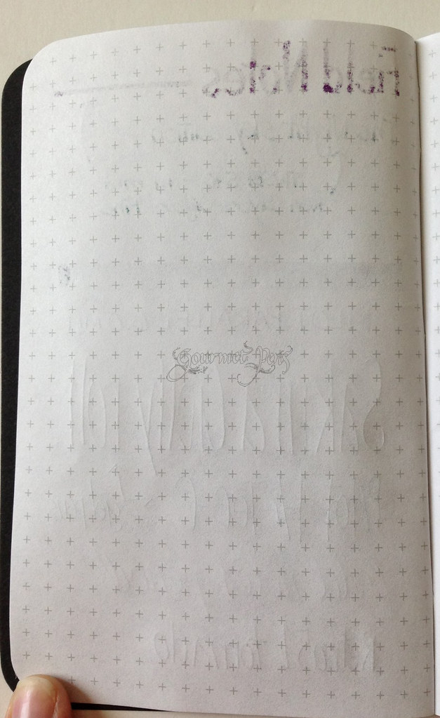 Field Notes Night Sky Writing Sample Back of Page Azizah Asgarali