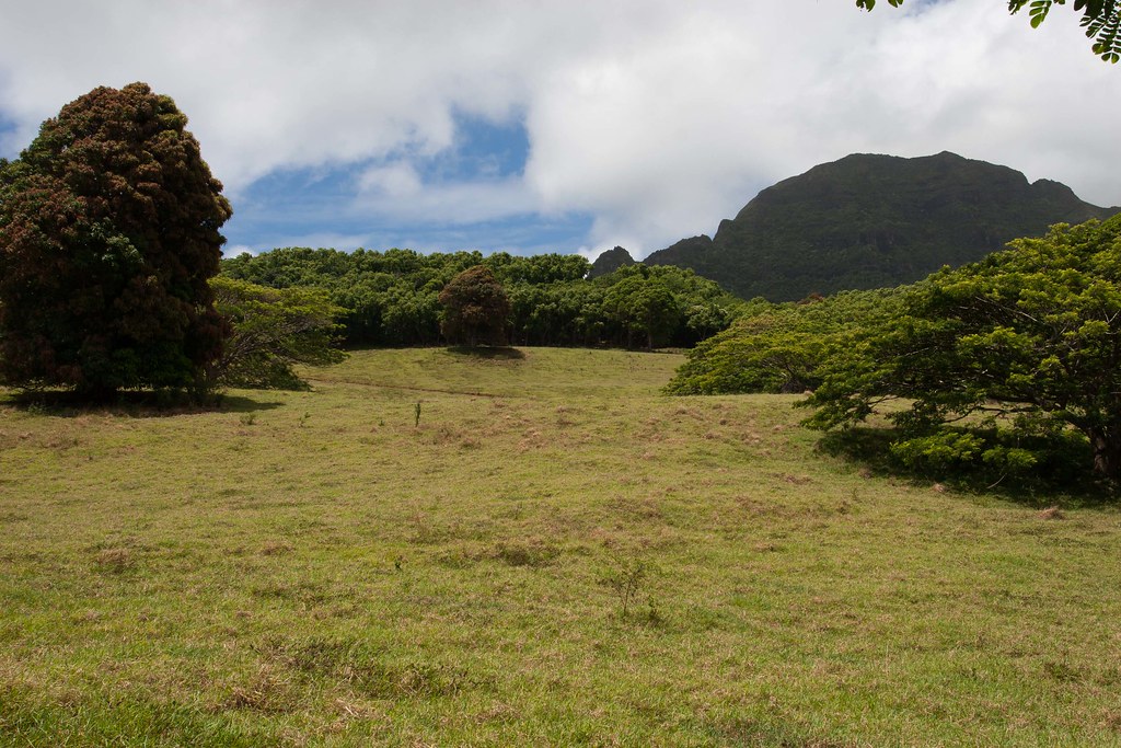 Kayaking the Hule'ia River This is the field where Indiana… Flickr