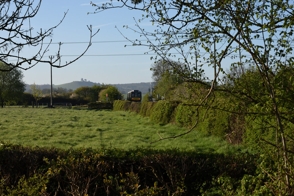 Chiltern green Amid lush green Chiltern countryside, singl… Flickr