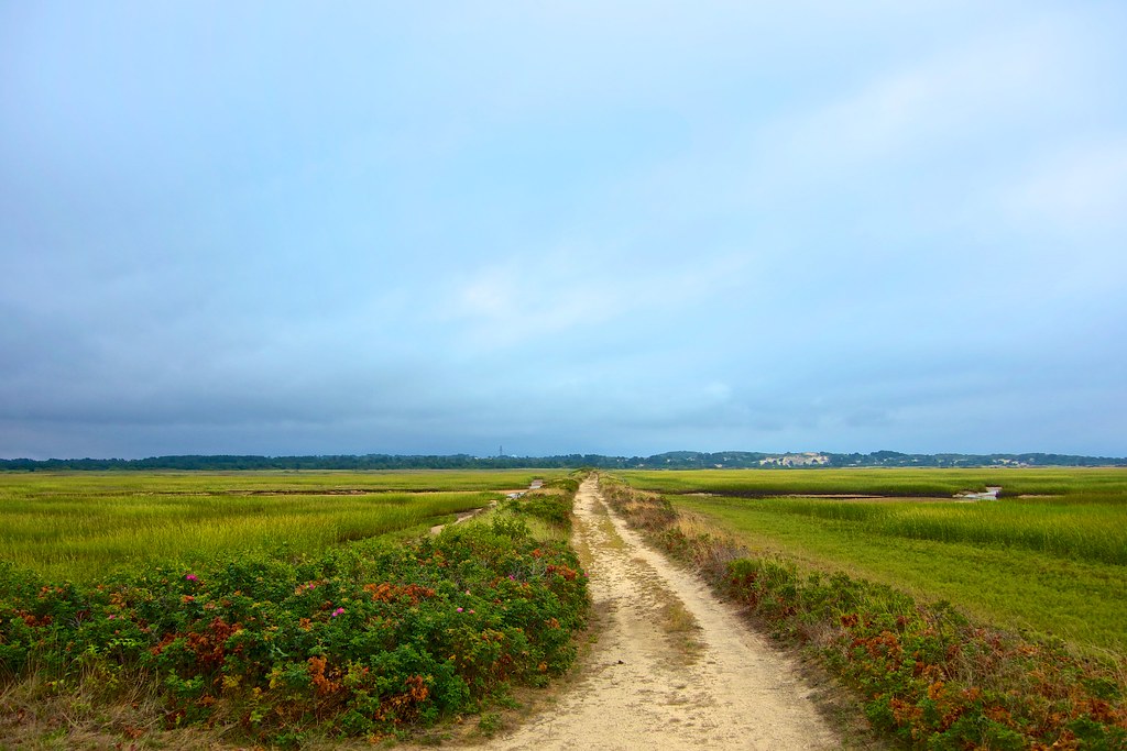 Hatches Harbor Trail Race Point a photo on Flickriver