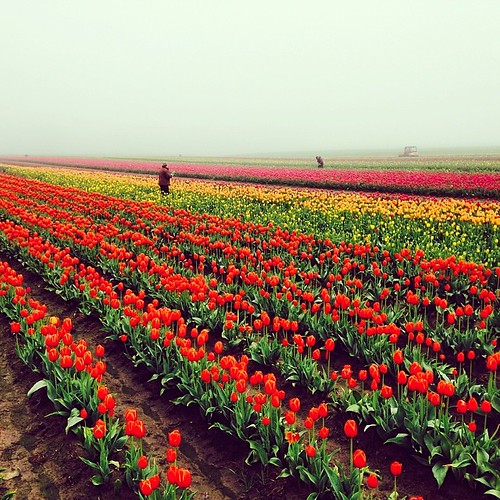 VanderZanden Farms Justin Renshaw Photography Flickr