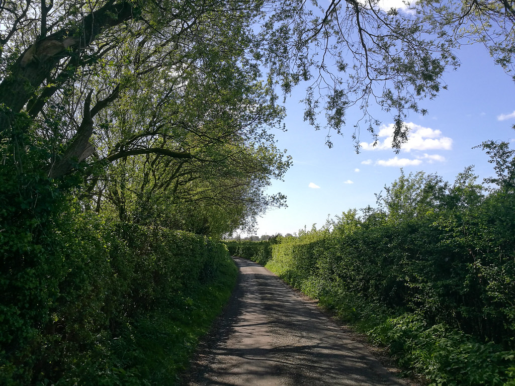 Dunham Massey Walk BlackDaffodil Flickr