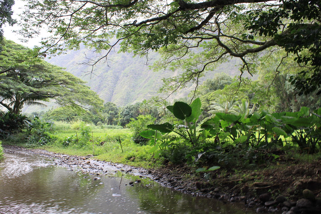Valley of the Kings Valley of the Kings Hawaii USA Richard Jack