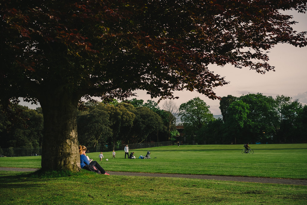 After work Phoenix Park, Dublin [Portfolio] Still trying… Flickr