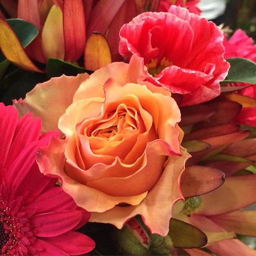 ⬅️order now Share,Like or Com… Flickr