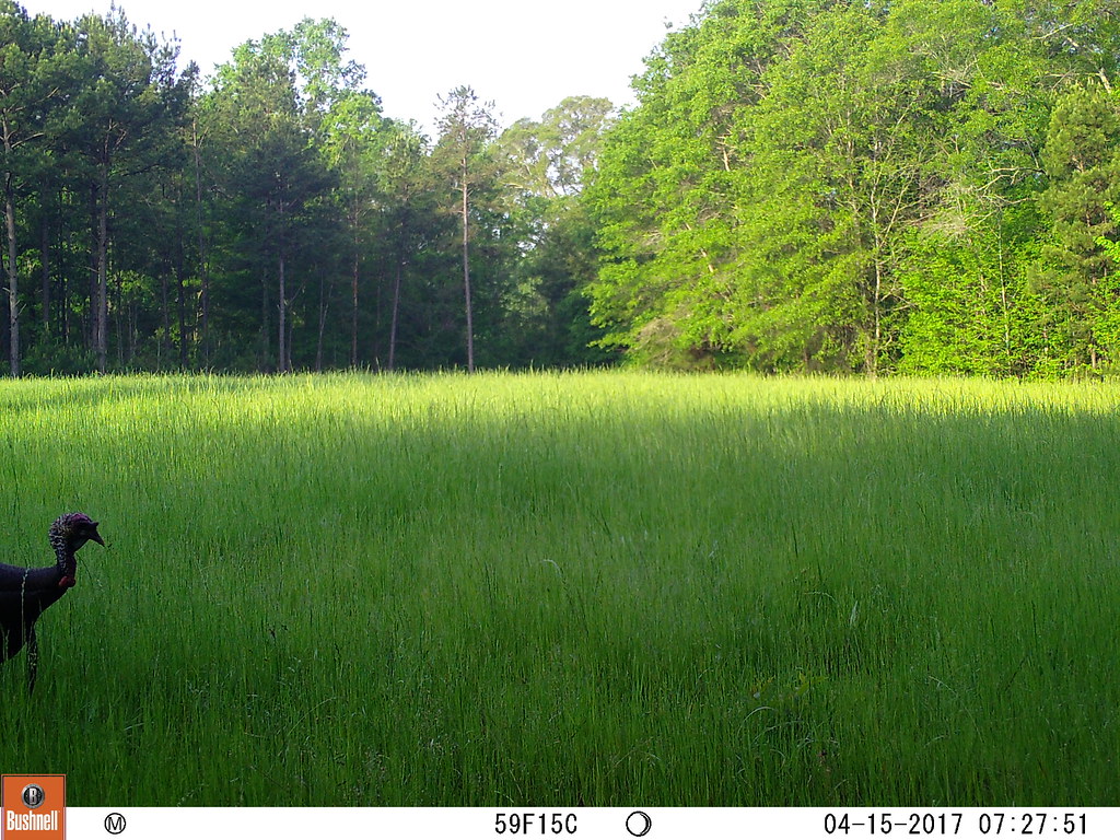 04150801 M2E64L191191R399B413 Harper Farms Flickr