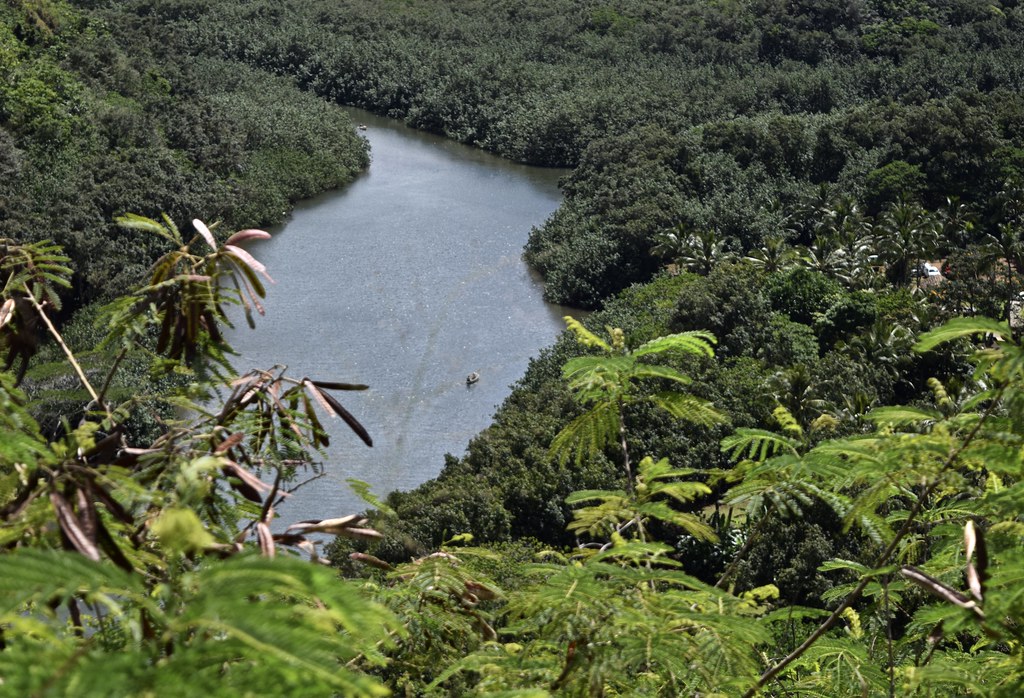 Wailua River Valley, Kauai The Wailua River, which is the … Flickr