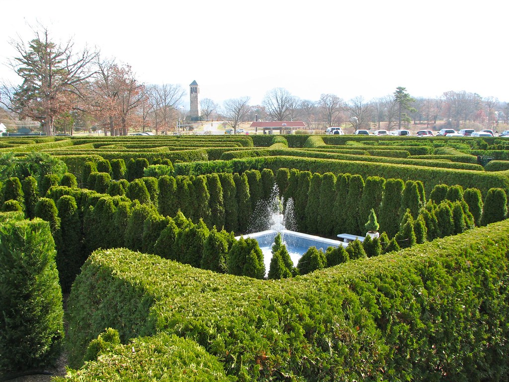 Hazy Hedge Maze Memories Twelve Mile Circle An Appreciation of
