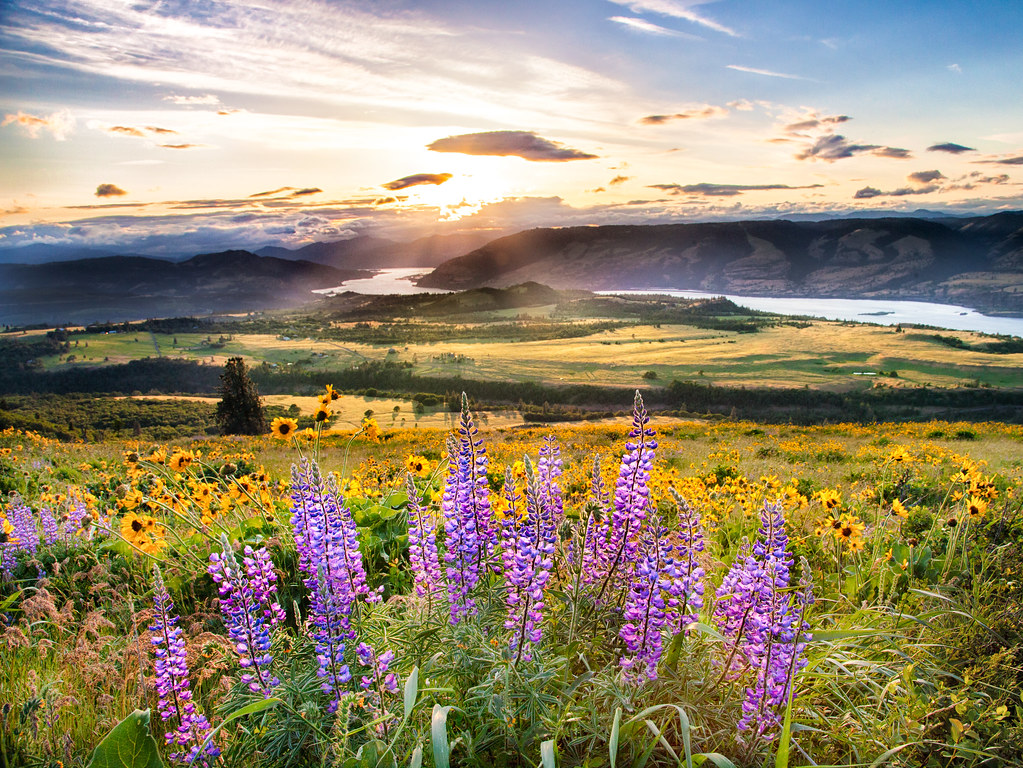 Rowena Crest Sunset Greg Mills Flickr