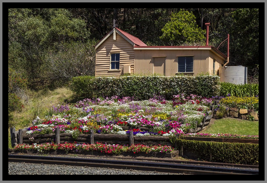Spring Buff Railway Gardens2= Spring Buff Railway Gardens… Flickr