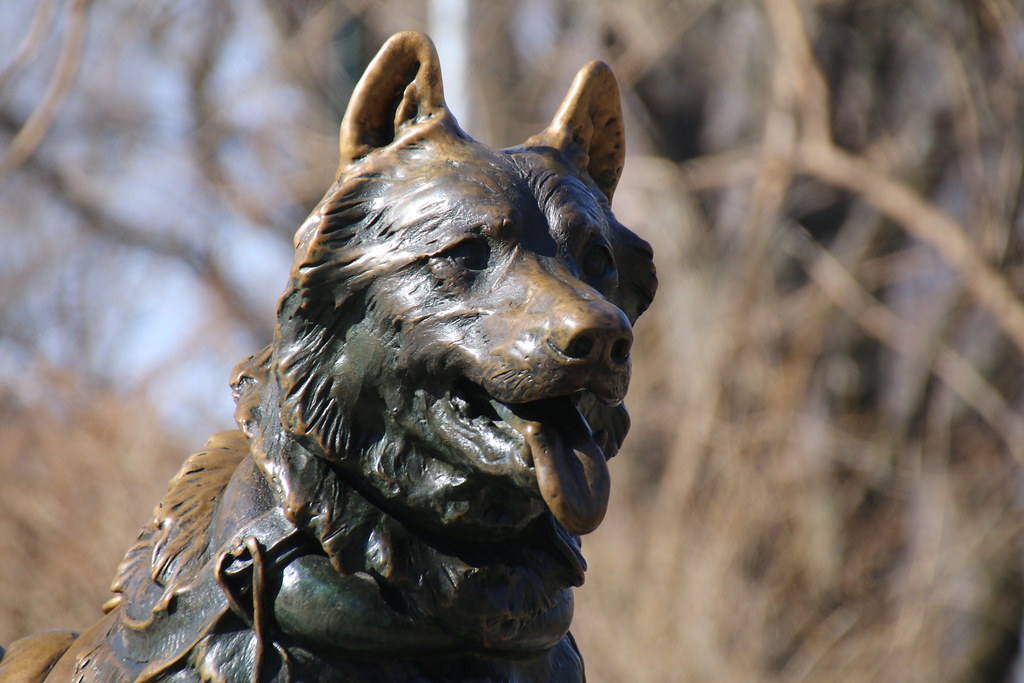 Balto Statue in Central Park (New York City) February 20… Flickr