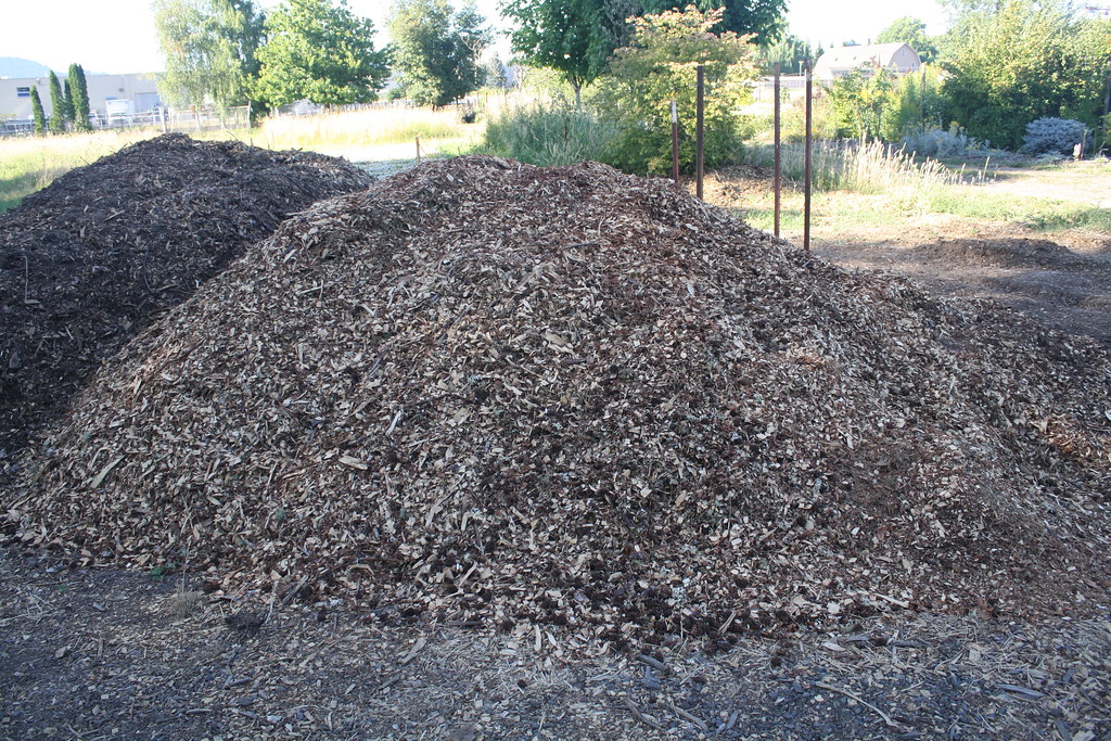 wood chip pile A pile of wood chips at Oak Creek Center fo… Flickr