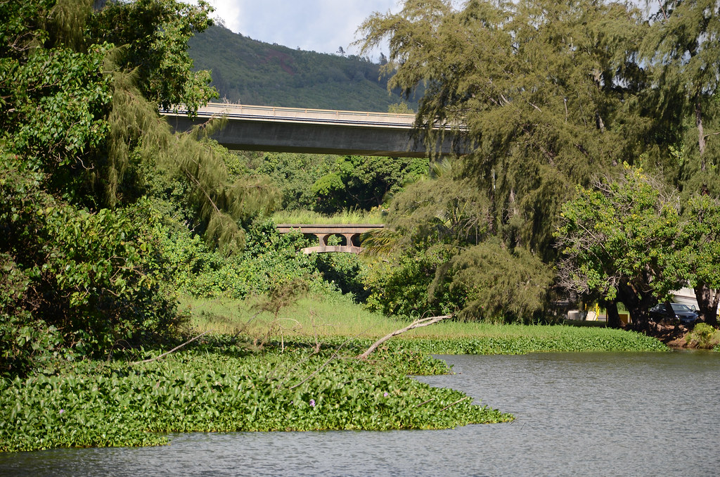 Hanamaulu Beach TrekkinD47 Flickr