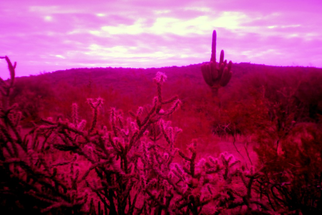 Anthem, Arizona Lomography Experimental Lens Kit K e v i n Flickr