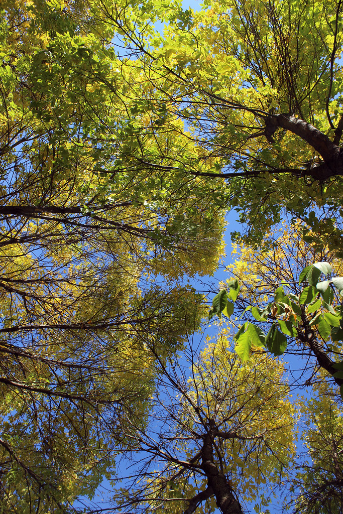 Eden Glen Apartments Eden Prairie Steven Scott Managemen… Flickr