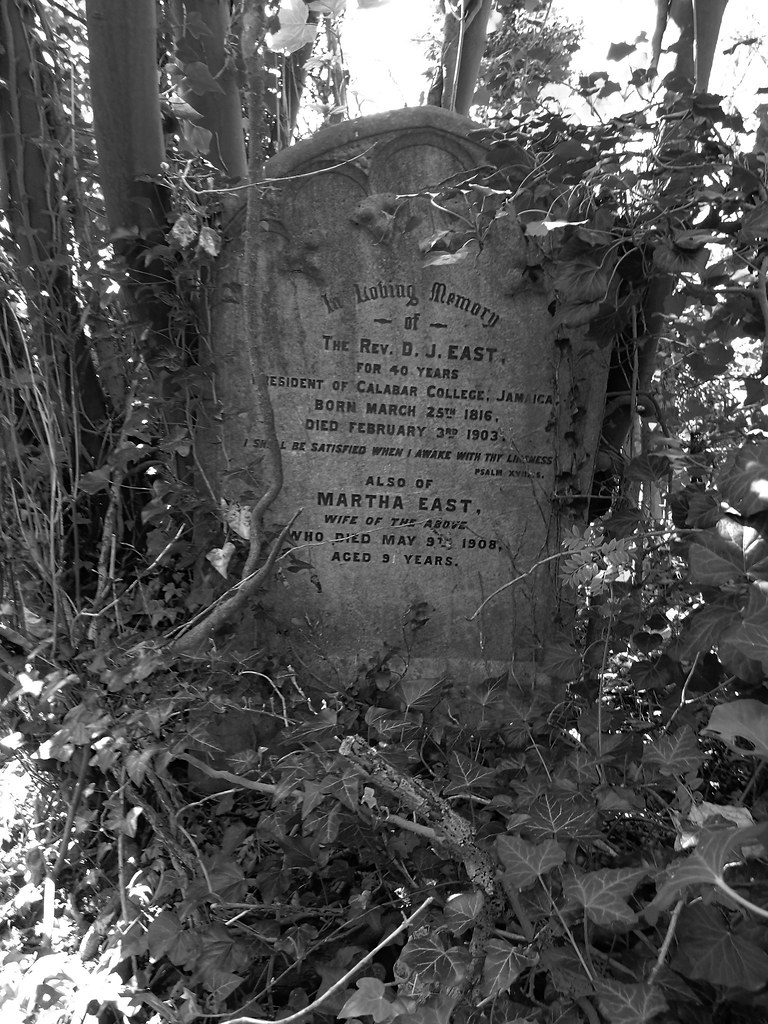 St Pancras and Islington Cemetery, East Finchley Family gr… Flickr