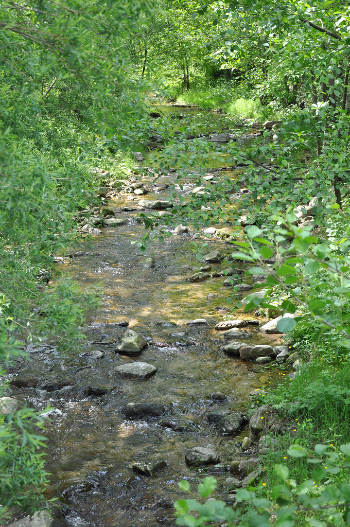 Rivière SaintJeanduGard © Cévennes Tourisme Modestine L'ânesse des Cévennes Flickr