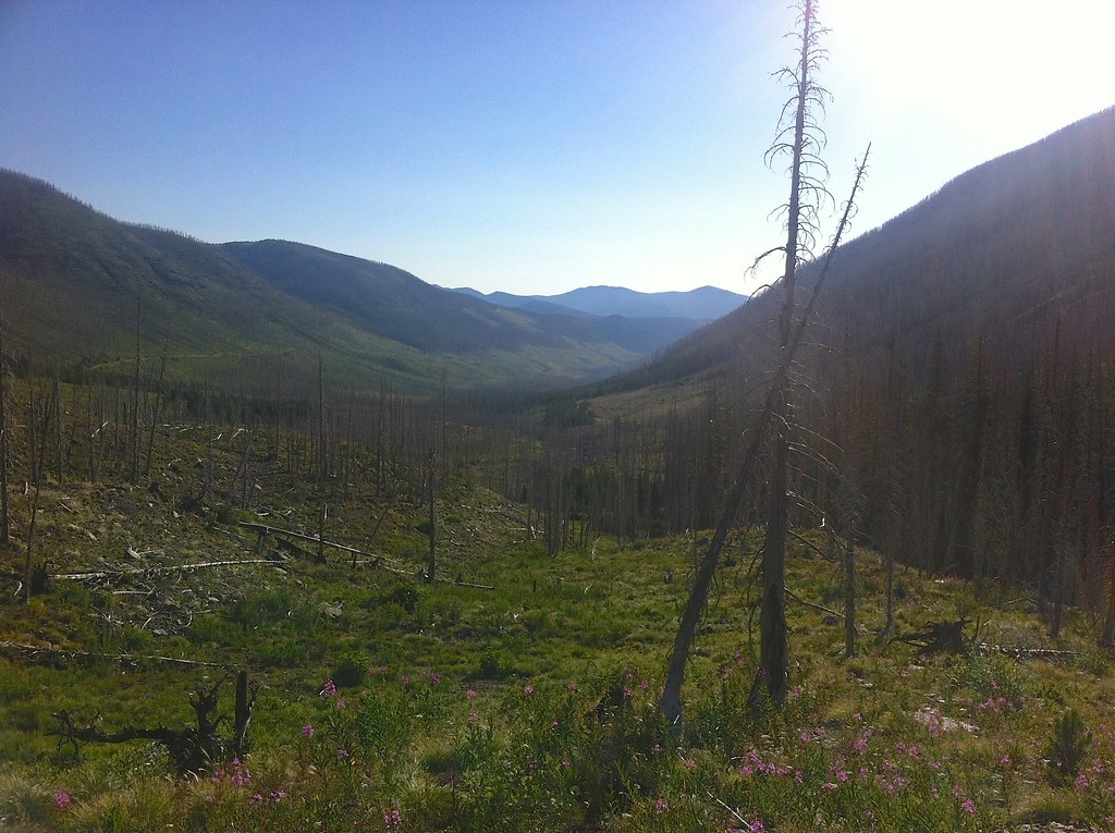 Elevation of 4th St N, Lincoln, MT, USA Topographic Map Altitude Map