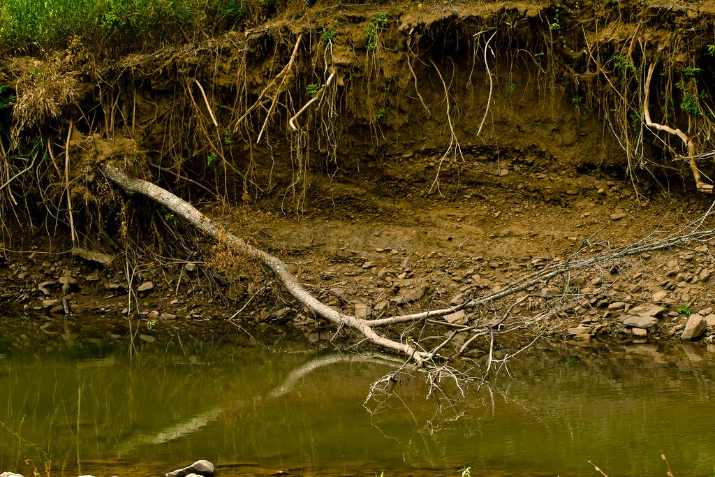 Illinois River Reflections A drought in Arkansas has reall… Flickr