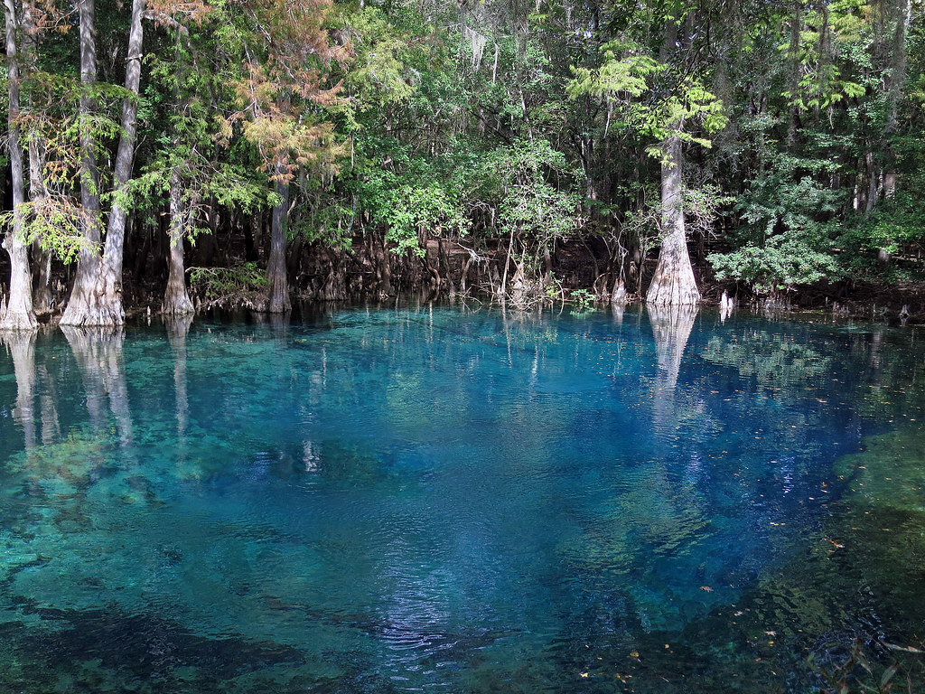 Manatee Springs in north central Florida near Chiefland. Flickr