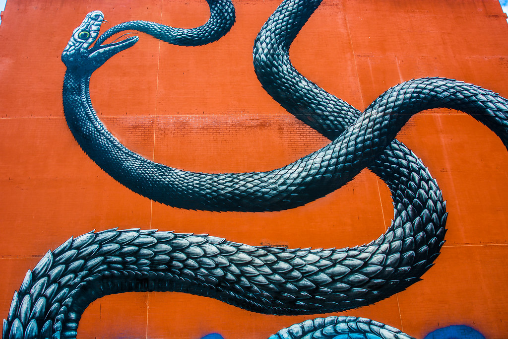 Snakes on a wall Jack Grotter Flickr