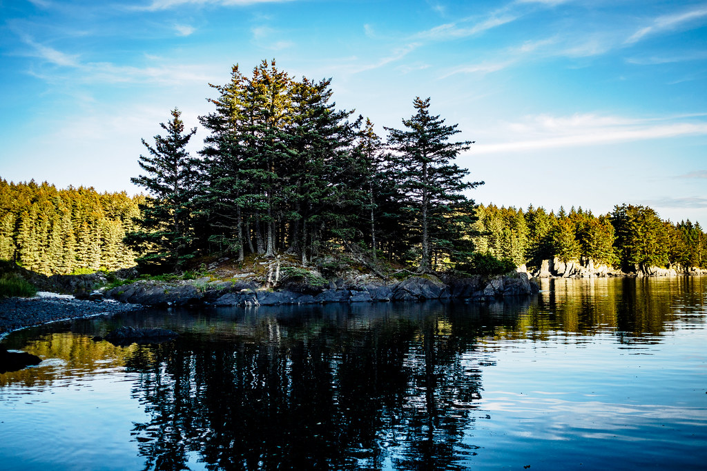 Spit of Land A tiny little tree covered spit of land on Ne… Flickr