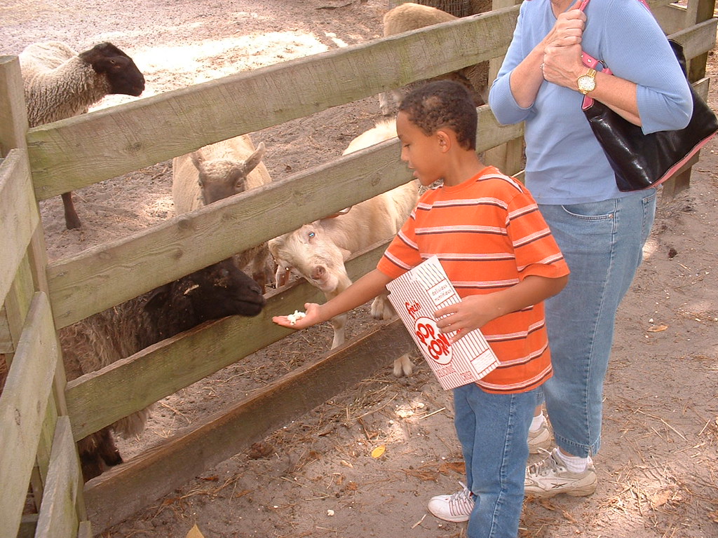 PopCorn ZooOct04 Flickr