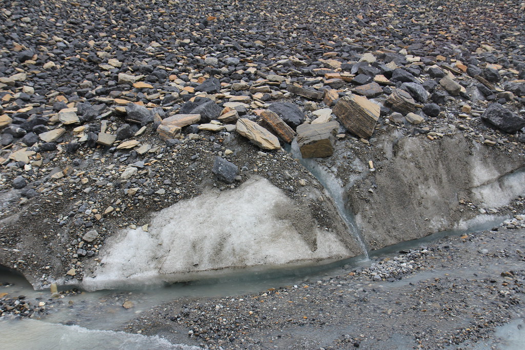 Glacial Till at the edge of the Athabasca Glacier Royal