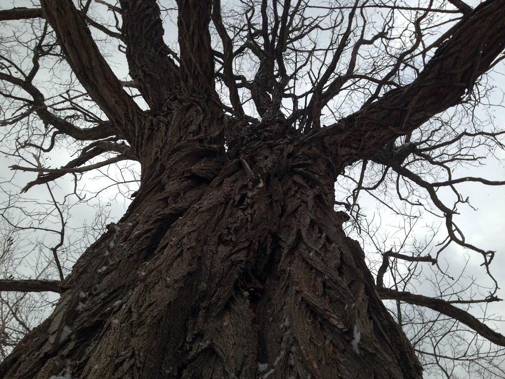 WAKEFIELD'S Old Cemetery. Flickr