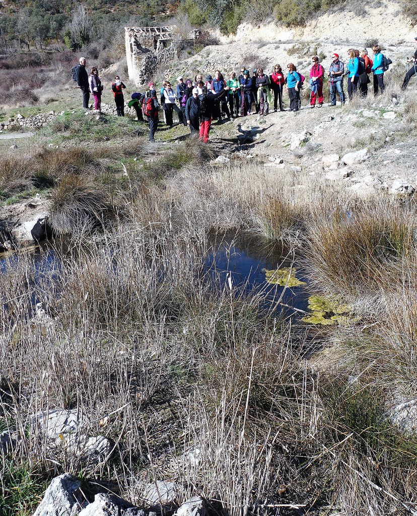 P2183754 OLYMPUS DIGITAL CAMERA Centre Europeu de Barcelona Flickr