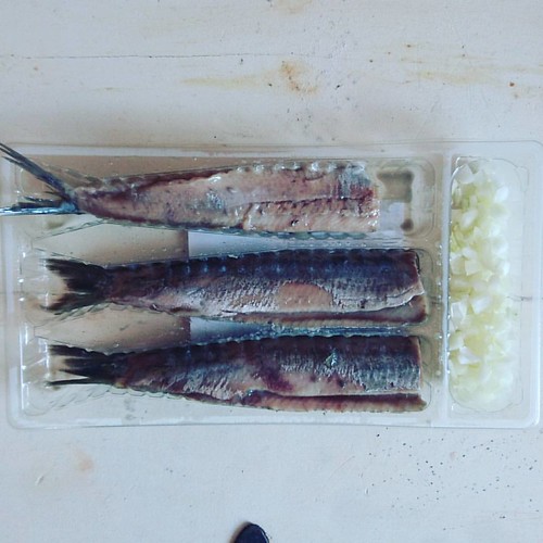 Herring ____________________________________ hollandfish … Flickr