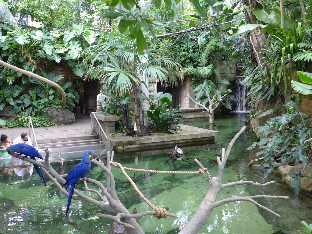 Moody Gardens, Galveston Island texas robert thigpen Flickr