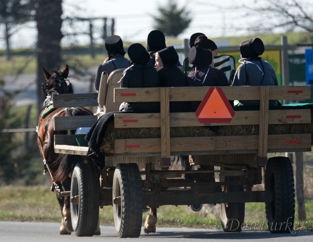 040914a Amish Jamesport, MO Flickr
