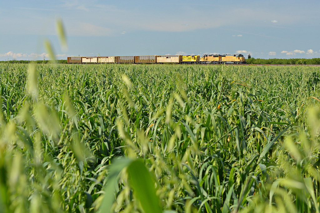 Local after local The Union Pacific Oakdale job sits at Co… Flickr