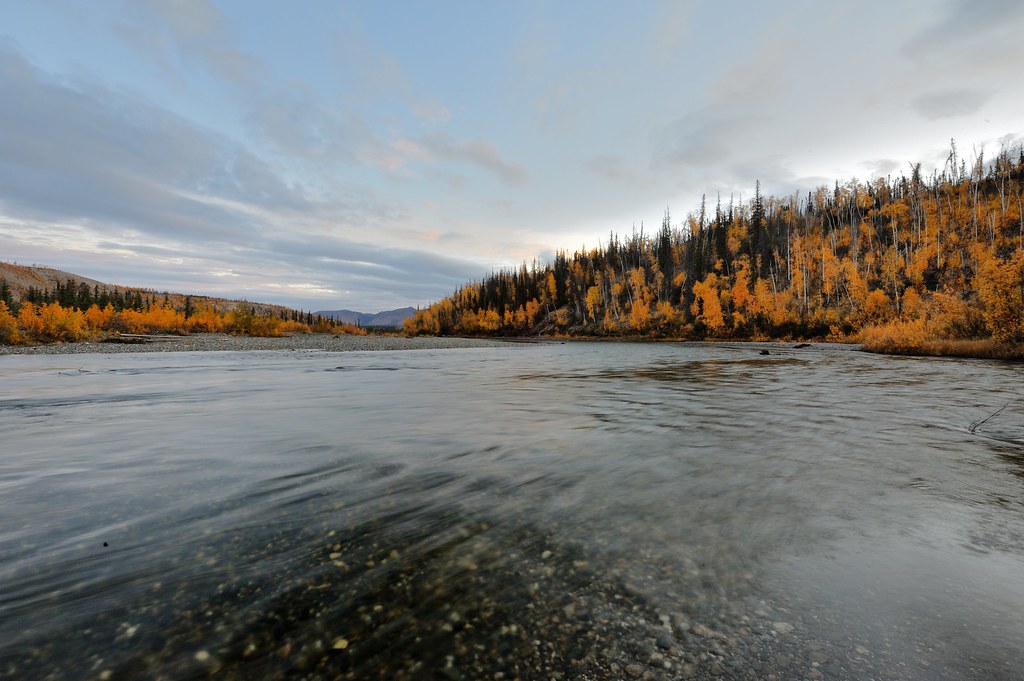 South Fork Koyukuk River, Alaska Note the clouds and rivul… Flickr