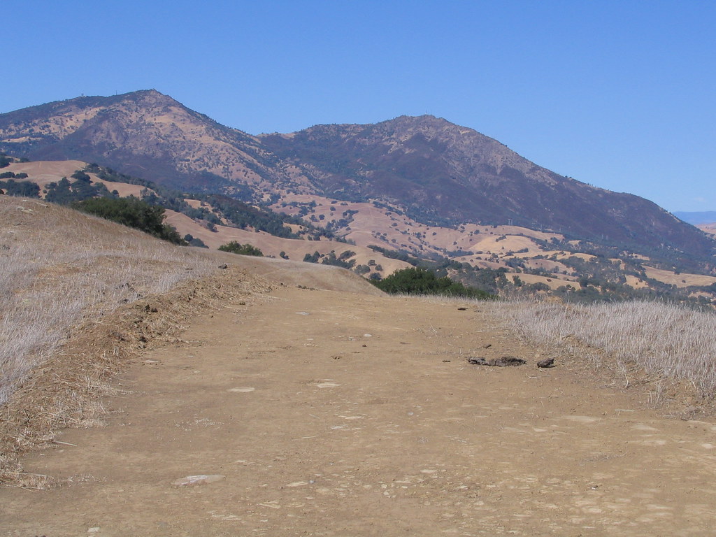 Finley Ride at Territory 056 Gambolin' Man Flickr