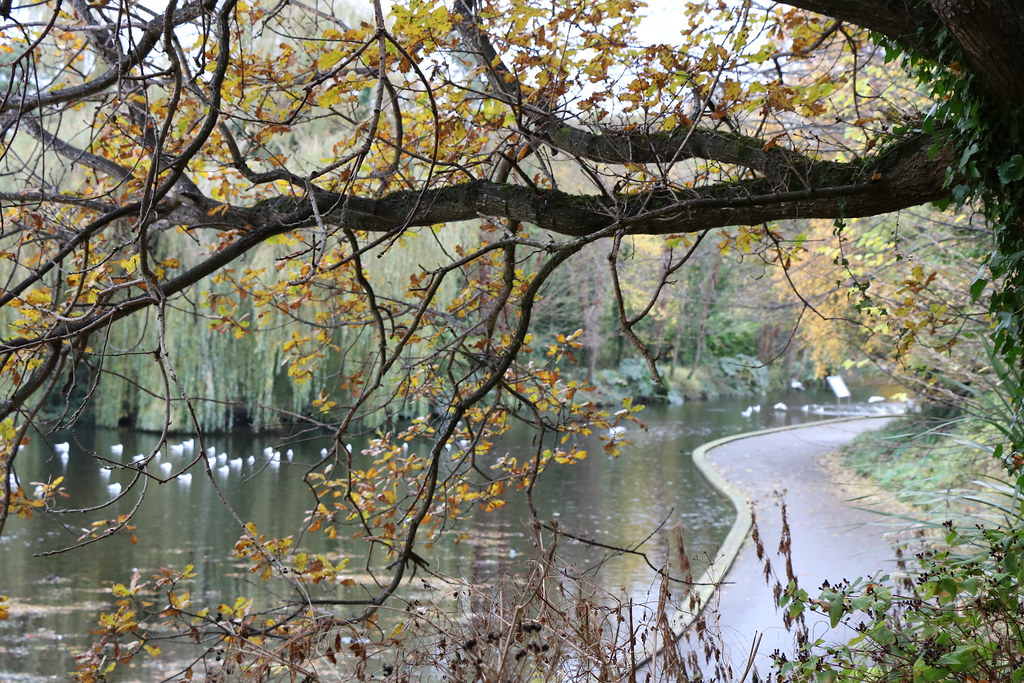 b48 St Enda's Park Autumn 2016 Alice O'Brien Flickr