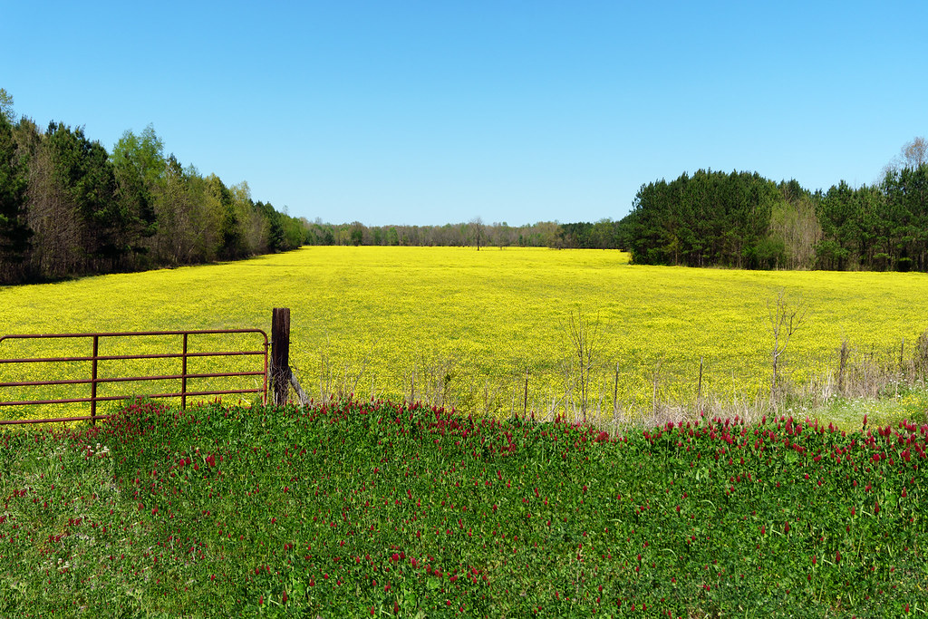 Springtime In Northern Mississippi Near Walnut, Mississipp… Flickr