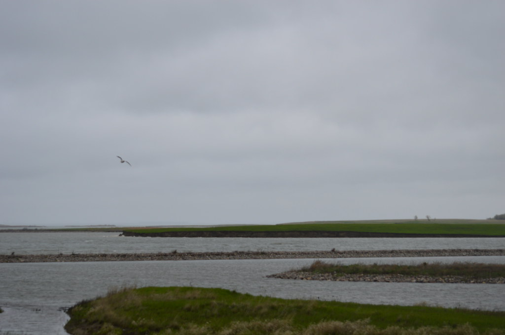 Lake Audubon Scenery and wildlife and Audubon National Wil… Flickr