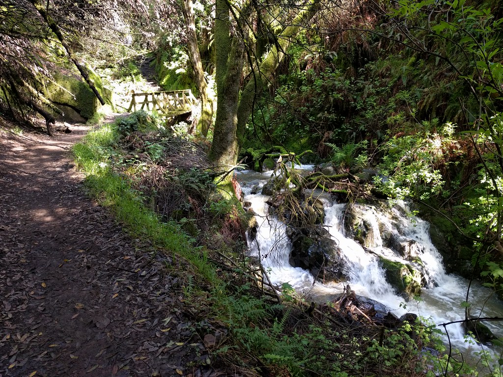 Steep Ravine trail Mark Doliner Flickr