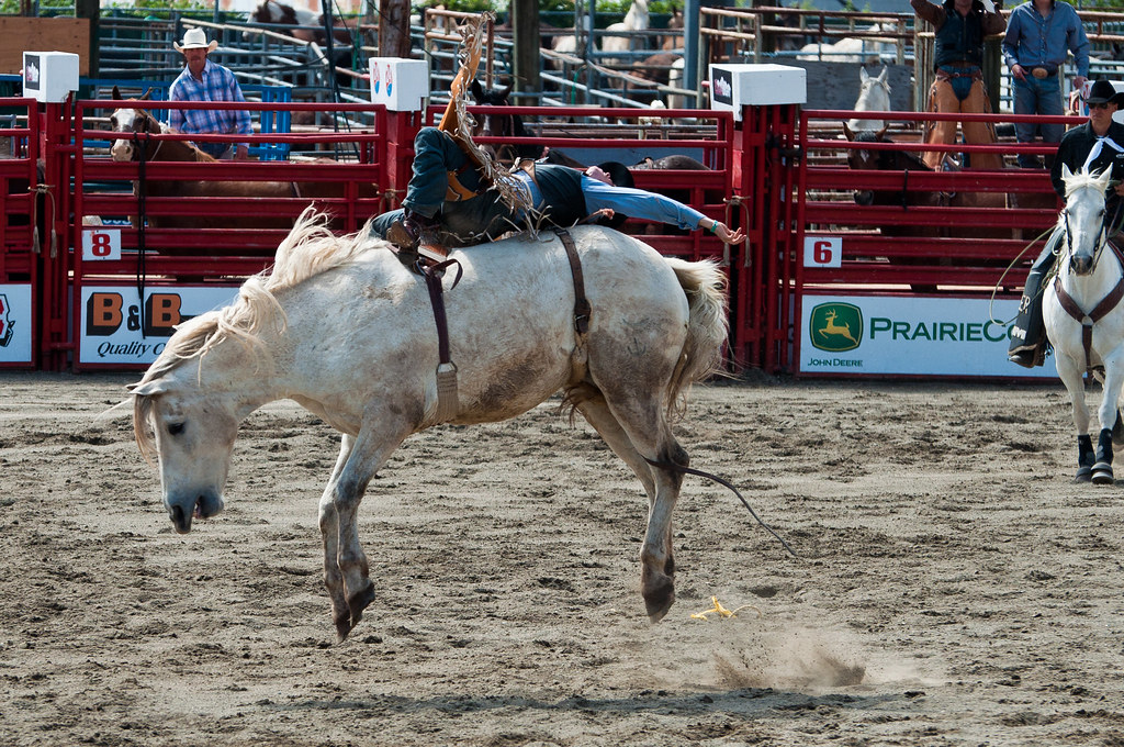 Cloverdale Rodeo Flickr