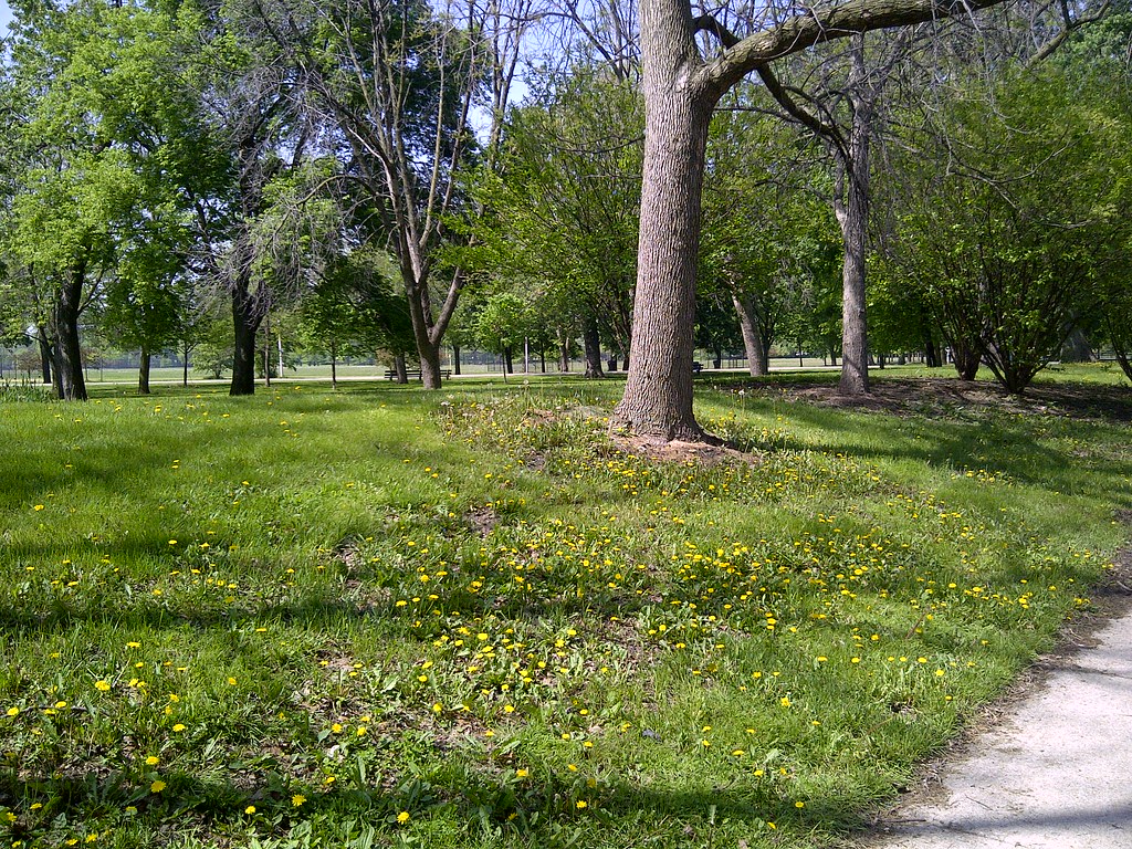 Ogden Park, 67th and Racine artistmac Flickr