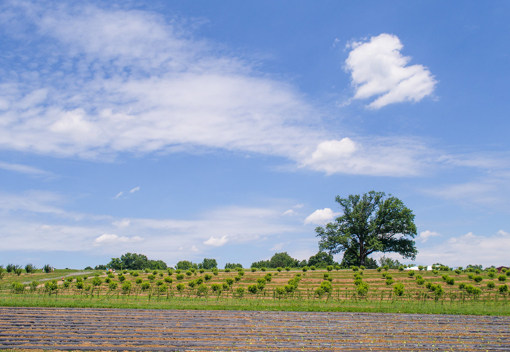 Alstede Farms Weather Eric Konon Flickr