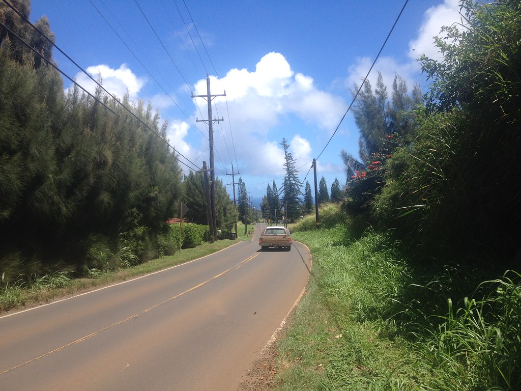 Kokomo'o Road between Makawao and Haiku Maui, Hi. Chelsea Batten